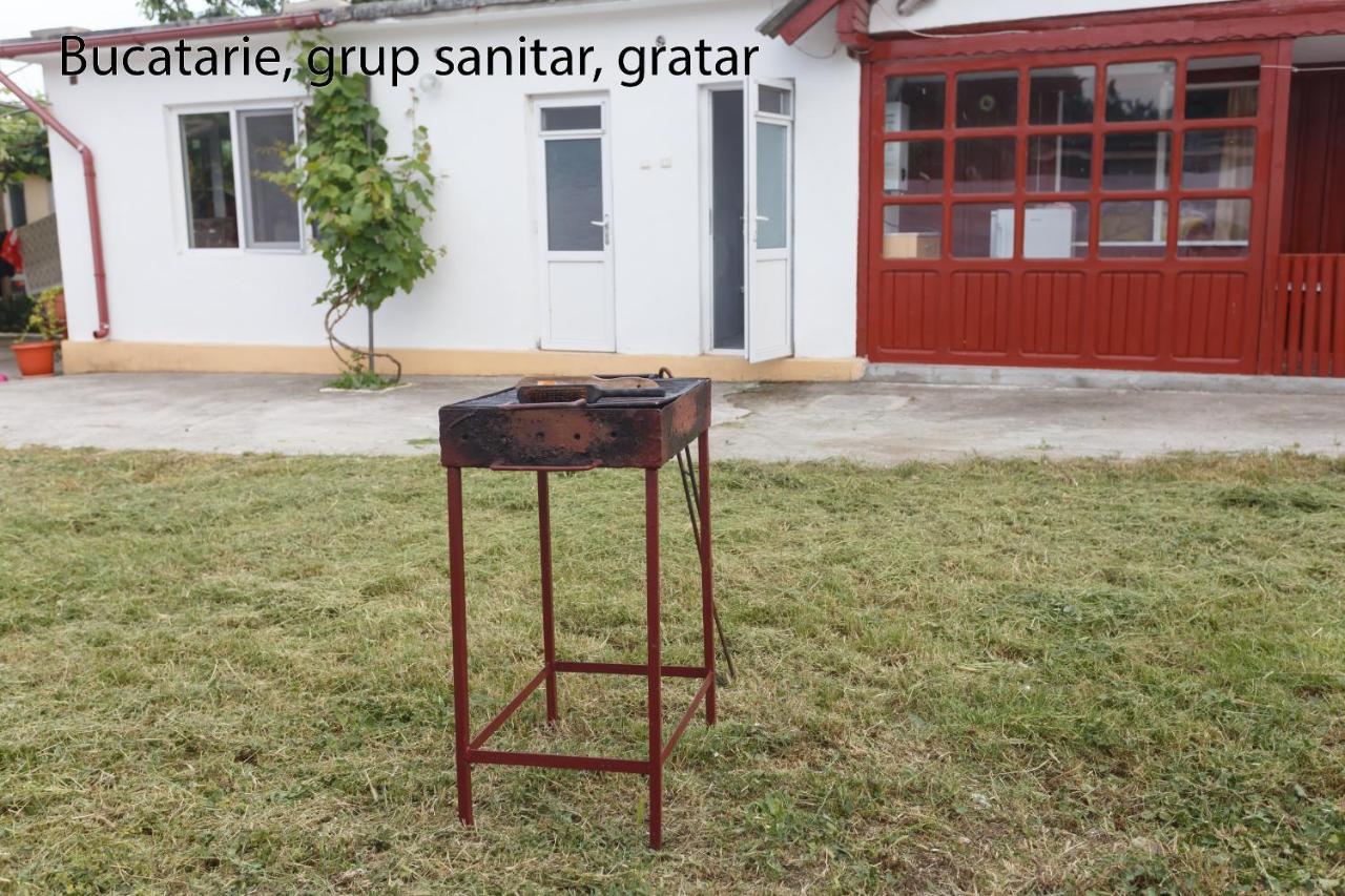 科斯蒂内什蒂 Casa Selena酒店 外观 照片