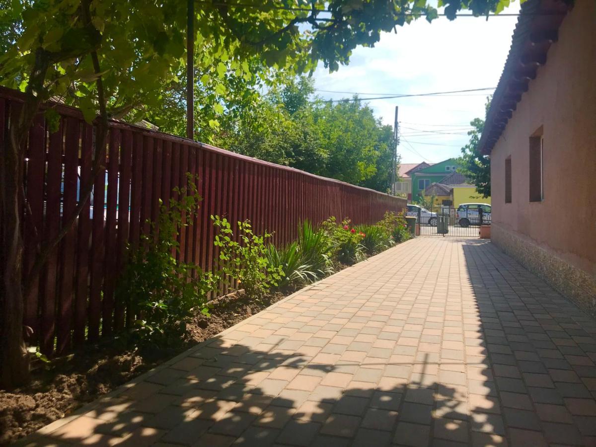 科斯蒂内什蒂 Casa Selena酒店 外观 照片