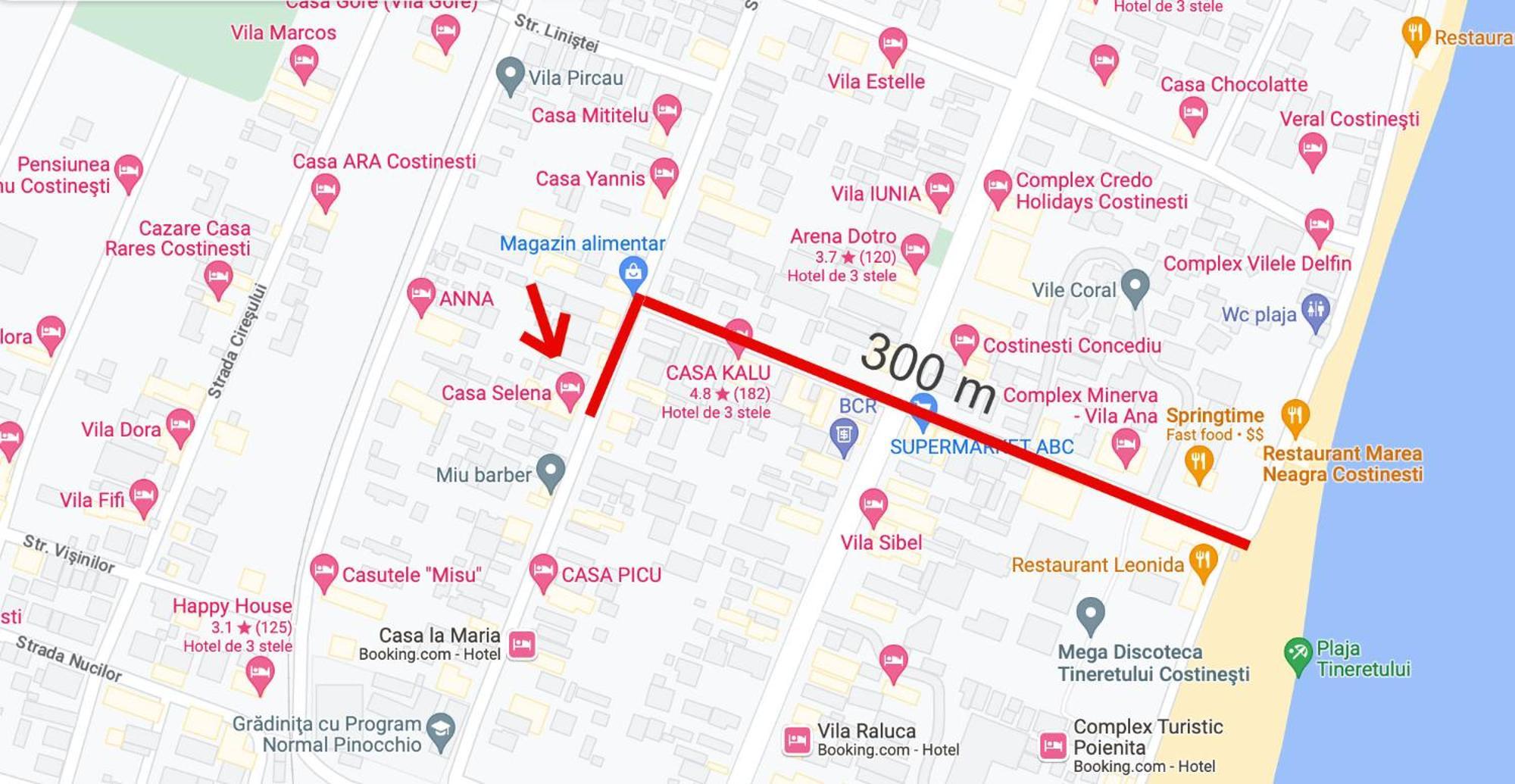 科斯蒂内什蒂 Casa Selena酒店 外观 照片